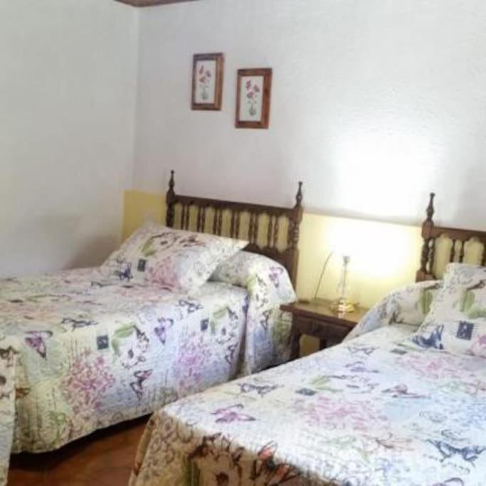 Casa Rural Barangua En El Pirineo Aragones Santa Cruz de la Serós Екстериор снимка